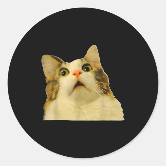 Cat Meme Shock Cat Face Funny Meme Cat Silly Gift Ronde Sticker (Voorkant)