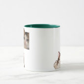 Cat Meme Thumbs Up Funny OK Cat Meme Kitten Mug Mok (Midden)