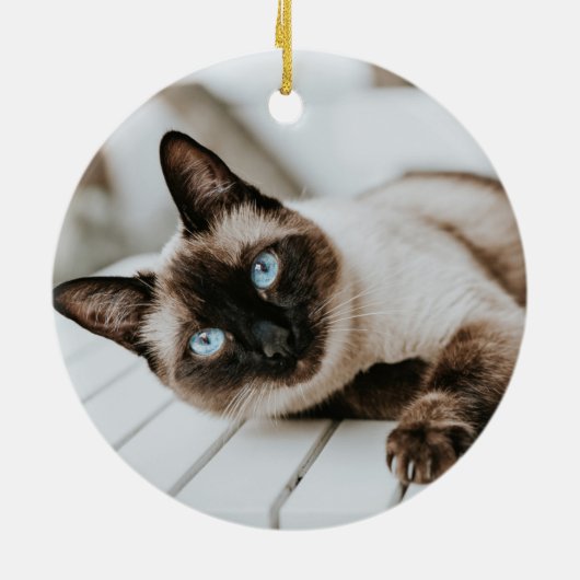 Cat Memorial 2 Foto's Rainbow Keepomwille Keramisch Ornament (Achterkant)