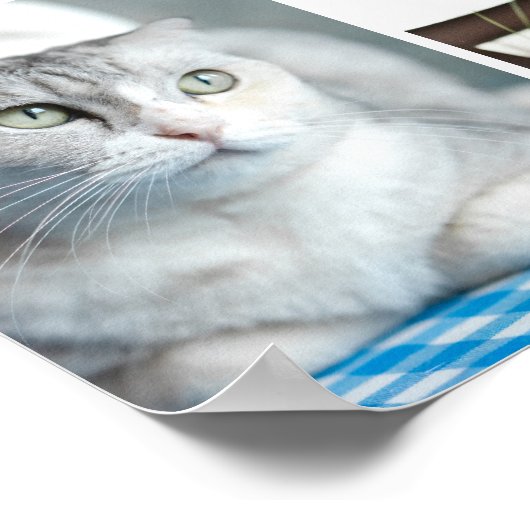 Cat Memorial Custom Pet Collage in liefdevolle her Poster (Hoek)