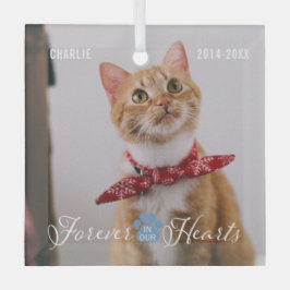 Cat Memorial Forever in onze harten Foto en naam Glas Ornament