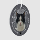 Cat Memorial Gemist Beyond Measure Pet Photo Ornament (voorkant)