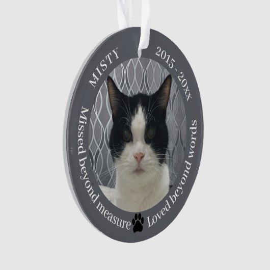 Cat Memorial Gemist Beyond Measure Pet Photo Ornament (voorkant)