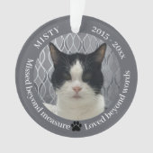 Cat Memorial Gemist Beyond Measure Pet Photo Ornament (voorkant)