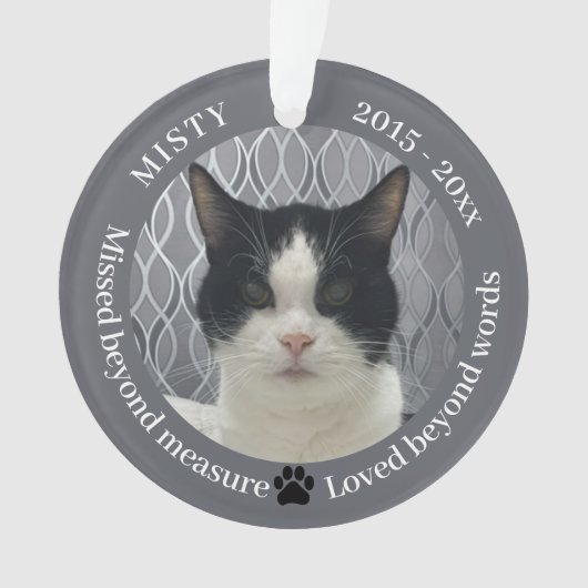 Cat Memorial Gemist Beyond Measure Pet Photo Ornament (voorkant)
