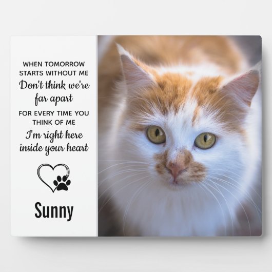 Cat Memorial Gift - Pet Loss Herembrance Keepslag Fotoplaat (Voorkant)
