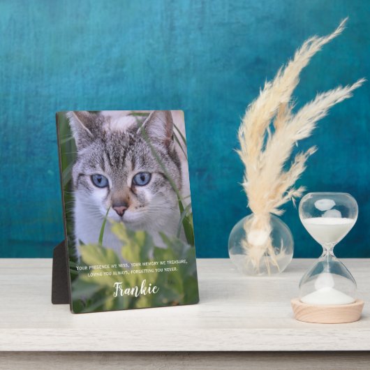 Cat Memorial Gift- Pet Loss Keepomwille- Kat Sympa Fotoplaat (Zijkant)