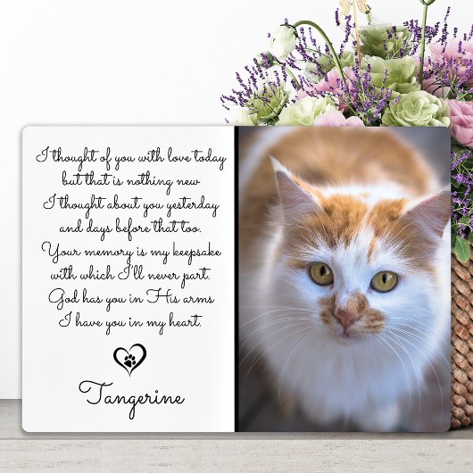 Cat Memorial Gift - Pet Loss Sympathie Foto Fotoplaat