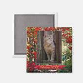 Cat Memorial of Keepomwille Photo Lijst Magnet (Voorkant / Achterkant)