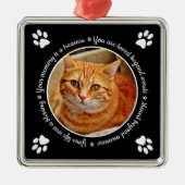 Cat Memorial Paw Prints Foto Metal Ornament (Voorkant)