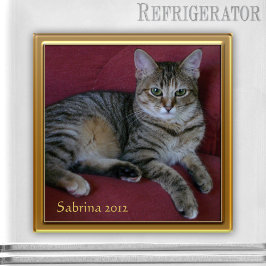 Cat Memorial Photo Lijst Magnet