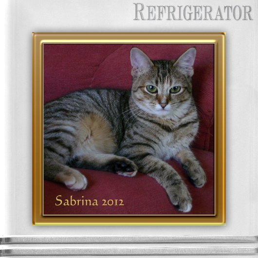 Cat Memorial Photo Lijst Magnet