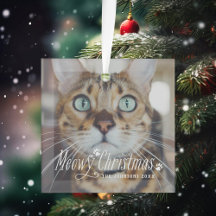 Cat Meowy kerstcadeaufoto