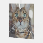 Cat Meowy kerstcadeaufoto Glas Ornament (Voorkant links)