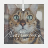 Cat Meowy kerstcadeaufoto Glas Ornament (Voorkant)