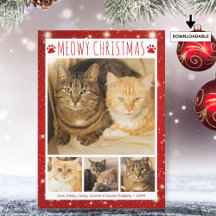 Cat MEOWY KERSTMIS 4 foto's Rode Pawprints