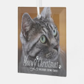 Cat Meowy Kerstmis Pet Memorial Foto Glas Ornament (Voorkant links)