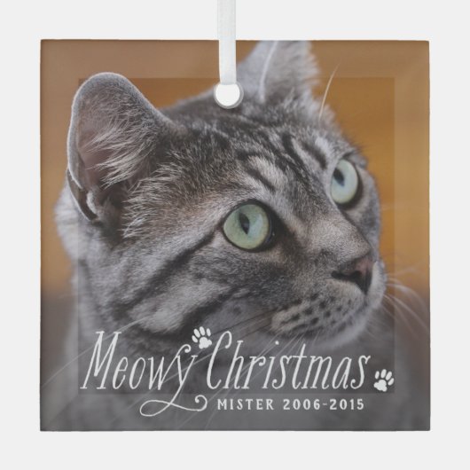 Cat Meowy Kerstmis Pet Memorial Foto Glas Ornament (Voorkant)