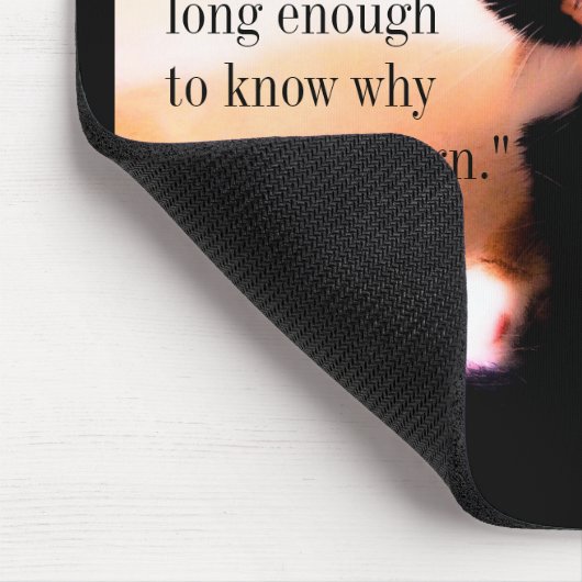 Cat Messenger Muismat (Hoek)