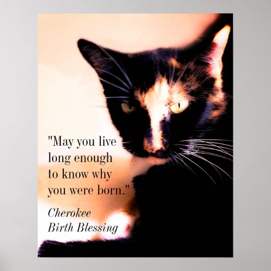 Cat Messenger Poster (Voorkant)