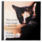 Cat Messenger Tegeltje (Voorkant)