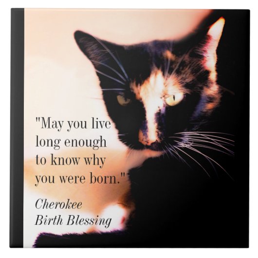 Cat Messenger Tegeltje (Voorkant)