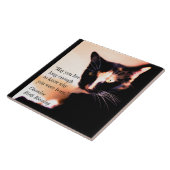 Cat Messenger Tegeltje (Zijkant)