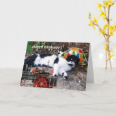 CAT MET HARLEQUIN PET Happy Birthday Kaart (Gele Bloem)