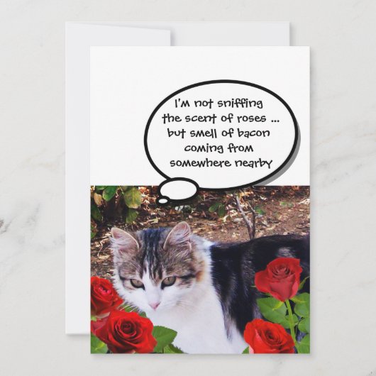 CAT MET ROSES BACON BRUNCH PARTIJ KAART (Voorkant)