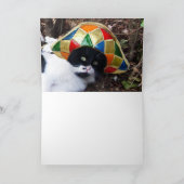 CAT MET Vaderdag PET HARLEQUIN Kaart (Binnen)