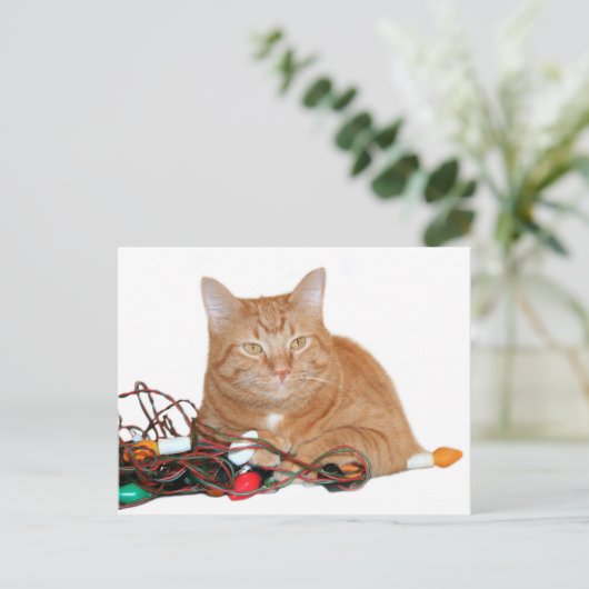 Cat mine Chrishtmas lichten Briefkaart (Staand voorkant)