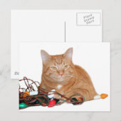 Cat mine Chrishtmas lichten Briefkaart (Voorkant / Achterkant)