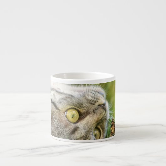 CAT-MOK ESPRESSO KOP (Voorkant)