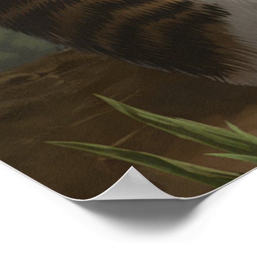 Cat Moral Dilemma Poster (Hoek)