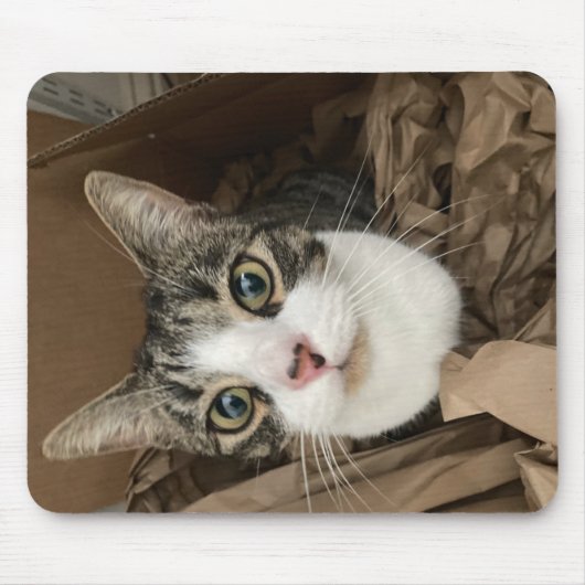Cat Mouse Mat Muismat (Voorkant)