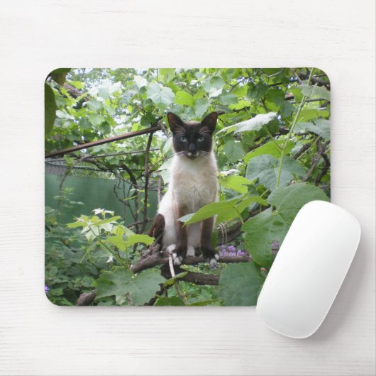 Cat mousepad muismat (Met muis)