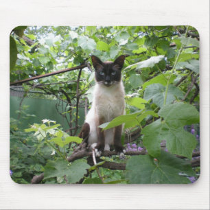 Cat mousepad muismat