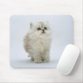 Cat Mousepad Muismat (Met muis)