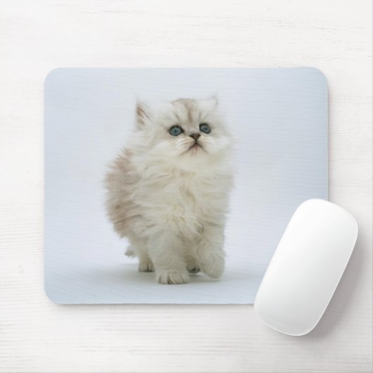 Cat Mousepad Muismat (Met muis)