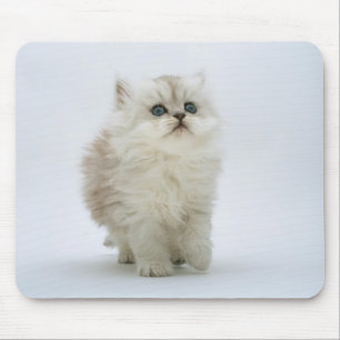 Cat Mousepad Muismat