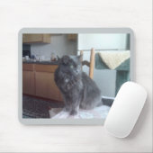 Cat Mousepad Muismat (Met muis)
