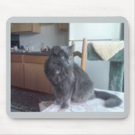 Cat Mousepad Muismat