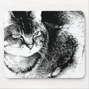 Cat Mousepad Muismat