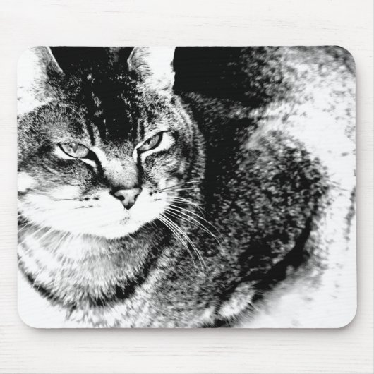 Cat Mousepad Muismat (Voorkant)