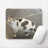 Cat mousepad muismat (Met muis)