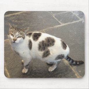 Cat mousepad muismat
