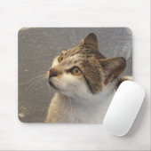 Cat mousepad muismat (Met muis)
