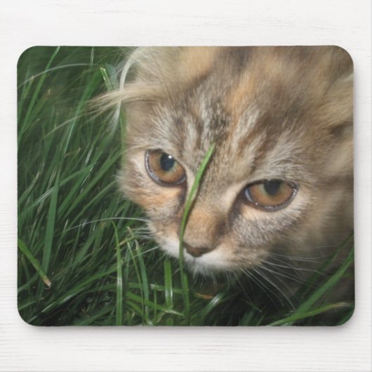 Cat Mousepad Muismat (Voorkant)