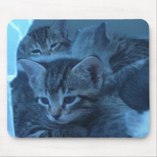 Cat mousepad muismat
