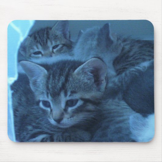 Cat mousepad muismat (Voorkant)